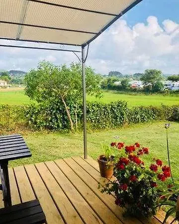 Camping De Madera En Fin De Siglo Selorio
